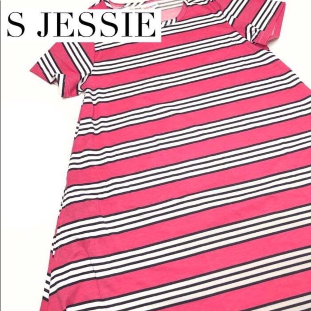Small Jessie Swing Dress with hidden pockets! NWT